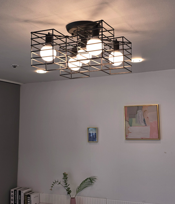 루이모 5등 LED방조명 안방조명 방전등 천장조명